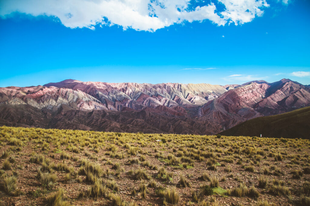 Descubrí el viaje en bus más extenso de Argentina