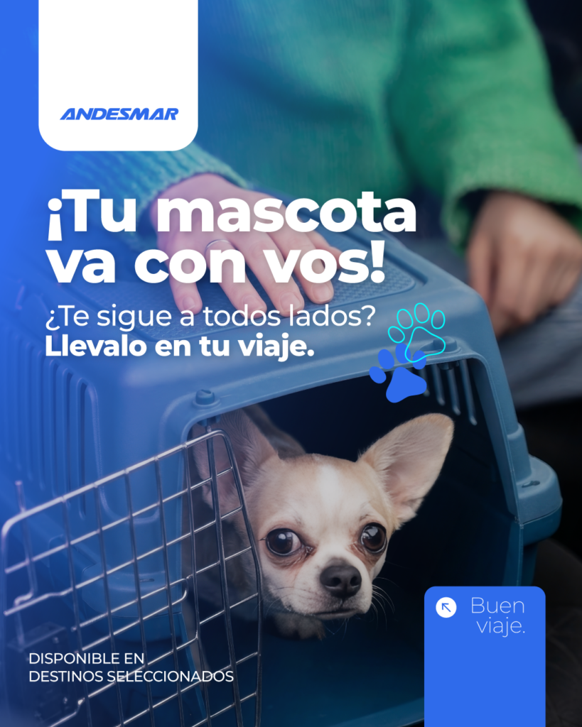 Con Andesmar viajás con tu mascota en micro fácil, cómodo y seguro