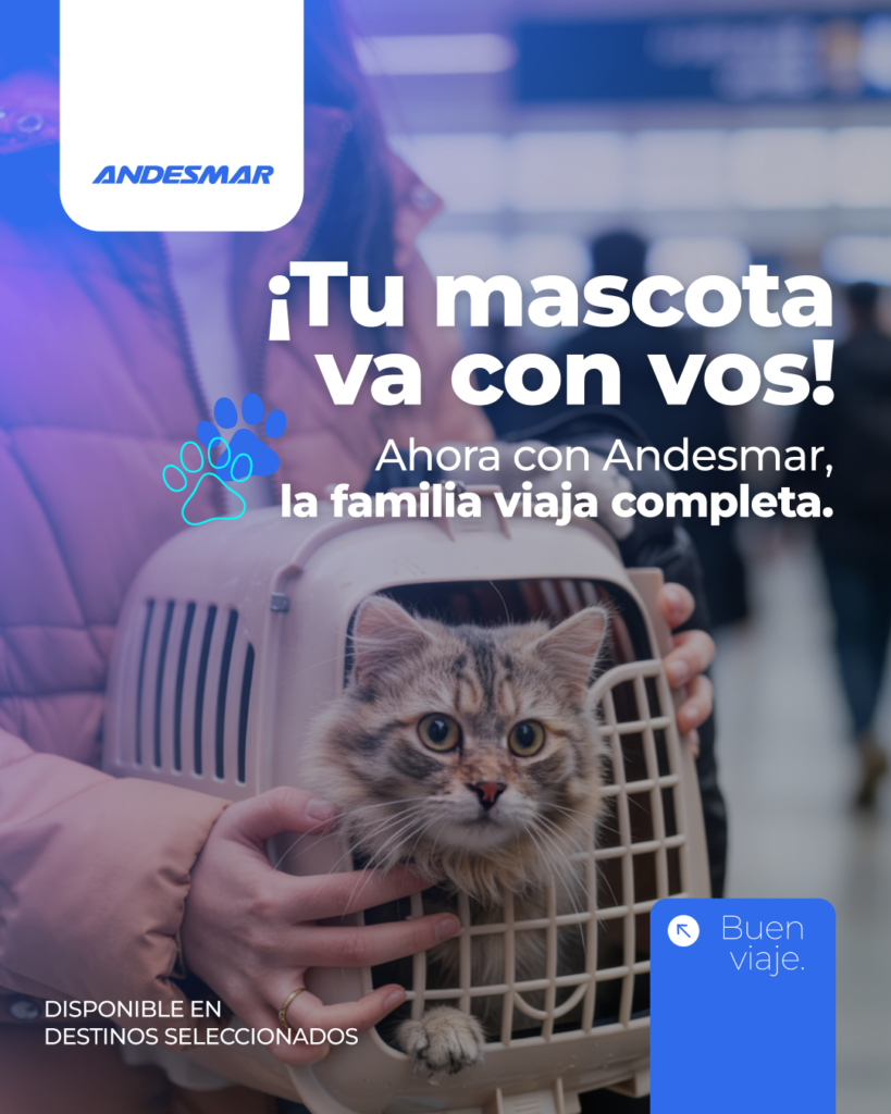 viajar en micro con tu mascota